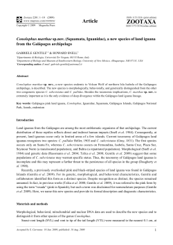 Full article - Magnolia press