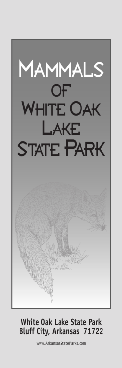MAMMALS - Arkansas State Parks