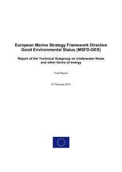 Technical Subgroup on Underwater Noise