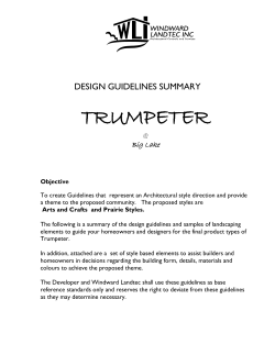 Design Guidelines PDF