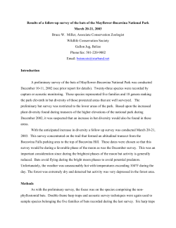 The Bats of Mayflower_March