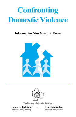 Confronting Domestic Violence