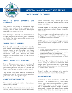 Carpet Staining - Pinewood Niagara Builders