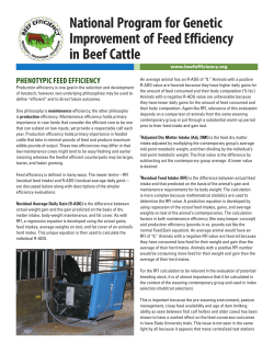 Feed Efficiency Terms Defined - National Program for Genetic