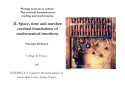 II. Space, time and number: cerebral