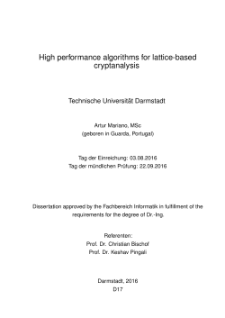 High performance algorithms for lattice-based cryptanalysis