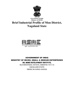 Brief Industrial Profile of Mon District, Nagaland State