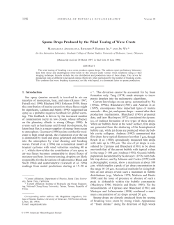 Spume Drops Produced by the Wind Tearing of Wave Crests