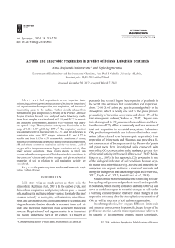 Aerobic and anaerobic respiration in profiles of Polesie