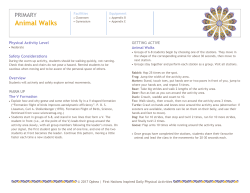 Animal Walks - Ophea Teaching Tools