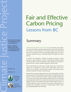 Fair and Effective Carbon Pricing Executive Summary