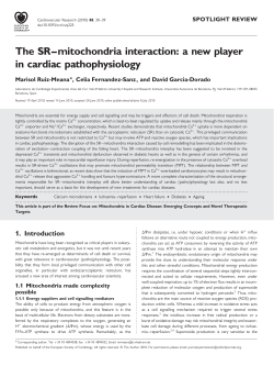 The SR&ndash;mitochondria interaction: a new player in cardiac