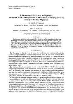 R-Glucanase Activity and Susceptibility of Hyphal