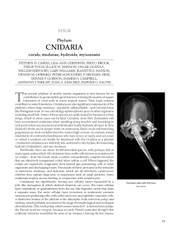 cnidaria - Smithsonian Institution