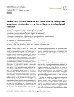 Evidence for vivianite formation and its
