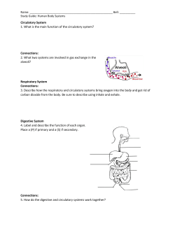 Circulatory System 1. What is the main function of the circulatory