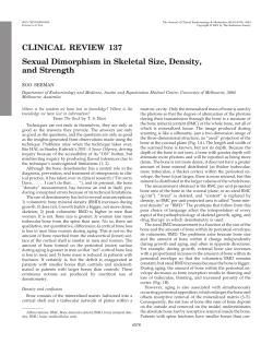 Sexual Dimorphism in Skeletal Size, Density, and Strength