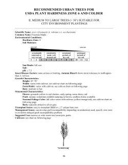 recommended urban trees for usda plant hardiness zone 6 and colder