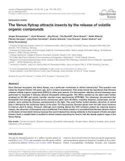 The Venus flytrap attracts insects by the release