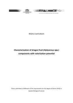 Characterization of dragon fruit (Hylocereus spp.) components with