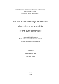 The role of anti-laminin &gamma;1 antibodies in diagnosis and pathogenicity