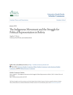 The Indigenous Movement and the Struggle for Political