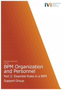 IVI Exec Briefing - BPM Org+Personnel Part 2