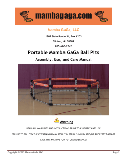 Mamba GaGa Ball Pit User Manual