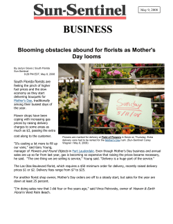 BUSINESS - Field Of Flowers