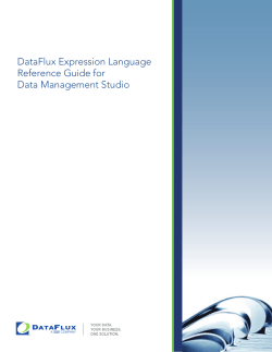 DataFlux Expression Language Reference Guide for