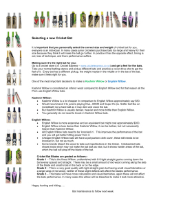 Selecting a new Cricket Bat