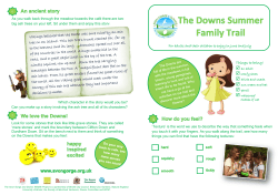 Downs Summer Family Trail