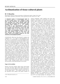 Acclimatization of tissue