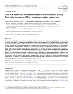 Gas film retention and underwater photosynthesis during field