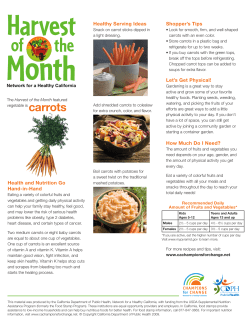 Healthy Serving Ideas Shopper`s Tips Let`s Get Physical! How Much