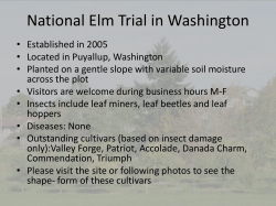 Elm data images-Washington Feb 15 2016