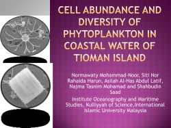 Cell Abundance and Diversity of Phytoplankton In Coastal Water of