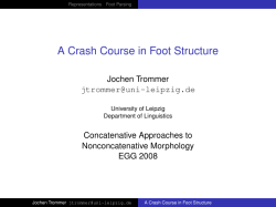 A Crash Course in Foot Structure