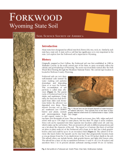 Forkwood - Soils 4 Teachers