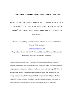 longevity in eudyptula penguins