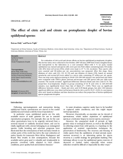 The effect of citric acid and citrate on protoplasmic droplet of bovine
