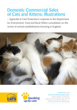 Domestic Commercial Sales of Cats and Kittens