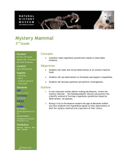 Mystery Mammal - Natural History Museum of Los Angeles