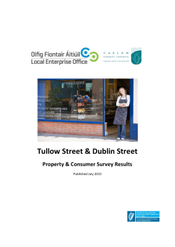 Retail Report - Local Enterprise Office