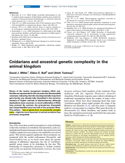 Cnidarians and ancestral genetic complexity in the animal kingdom
