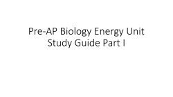 Pre-AP Biology Energy Study Guide Part I