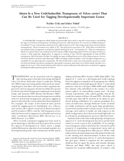 Idaten Is a New Cold-Inducible Transposon of Volvox
