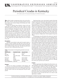 ENT-52: Periodical Cicadas in Kentucky