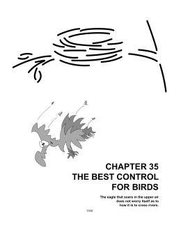 35 - The Best Control for Birds