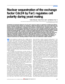 Nuclear sequestration of the exchange factor Cdc24